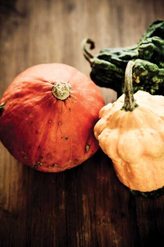 Frequently Vegetarian: Making a Case for Eating More Vegetables